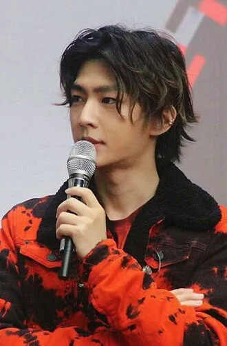 Aaron Yan height profile photo