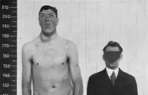 Adam Rainer height profile photo