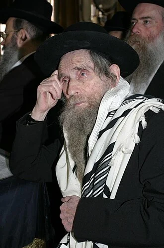 Aharon Leib Shteinman height profile photo