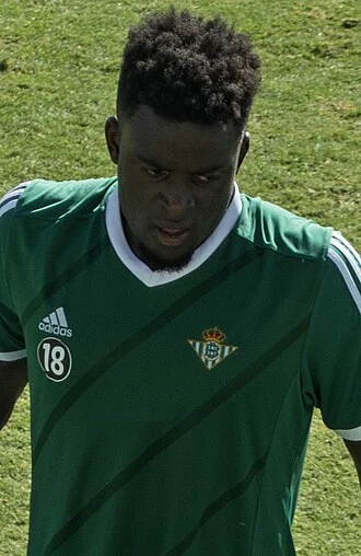Alfred N'Diaye height profile photo