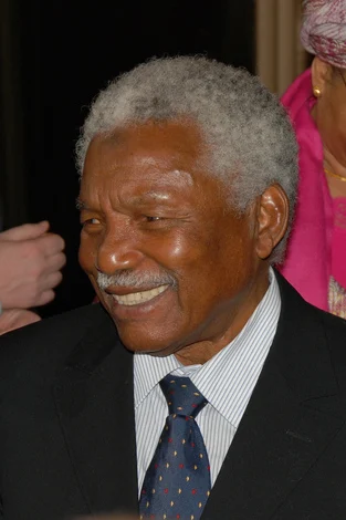 Ali Hassan Mwinyi height profile photo
