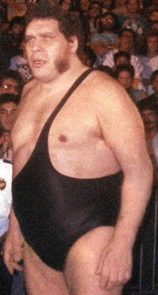 André the Giant height profile photo
