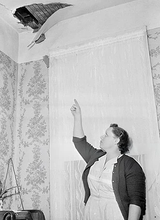 Ann Elizabeth Fowler Hodges height profile photo