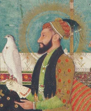 Aurangzeb height profile photo