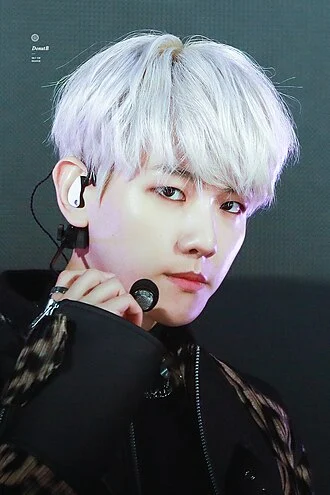 Baekhyun height profile photo