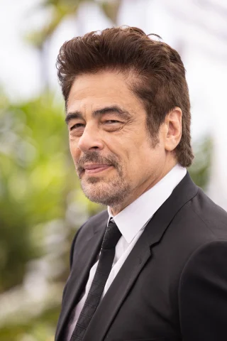 Benicio del Toro height profile photo