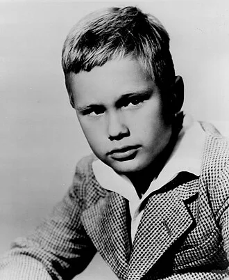 Brandon deWilde height profile photo