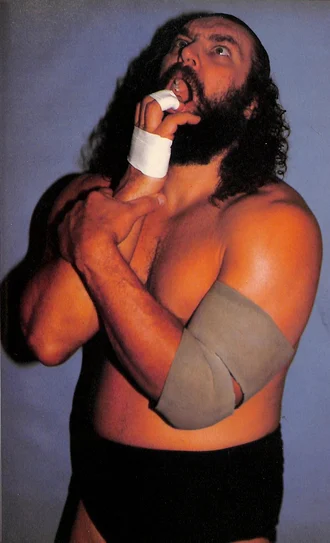 Bruiser Brody height profile photo