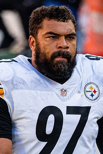 Cameron Heyward height profile photo