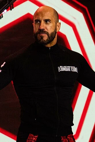 Claudio Castagnoli height profile photo