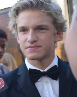 Cody Simpson height profile photo