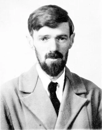 D. H. Lawrence height profile photo