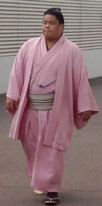 Daieishō Hayato height profile photo