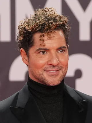 David Bisbal height profile photo