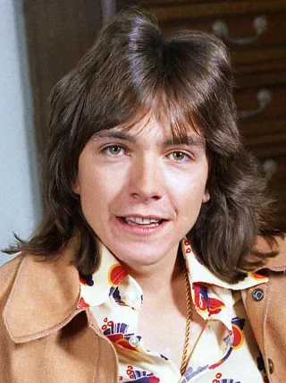David Cassidy height profile photo