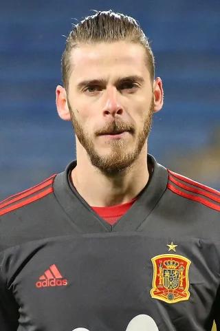 David de Gea height profile photo