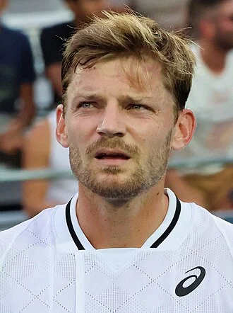 David Goffin height profile photo