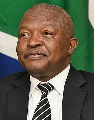 David Mabuza height profile photo