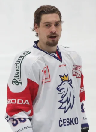David Tomášek height profile photo