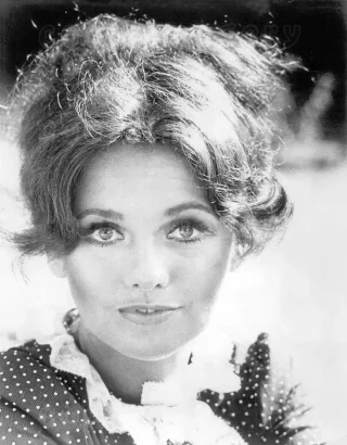 Dawn Wells height profile photo