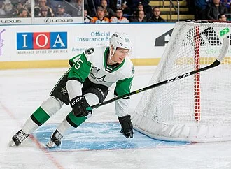 Denis Gurianov height profile photo