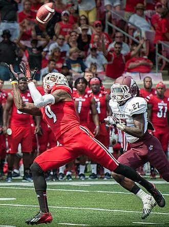 DeVante Parker height profile photo
