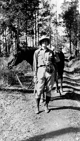 Dorothy Hill height profile photo