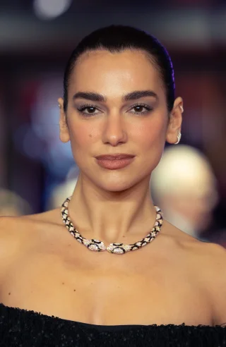 Dua Lipa height profile photo