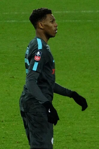 Dujon Sterling height profile photo