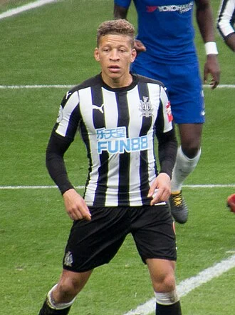 Dwight Gayle height profile photo