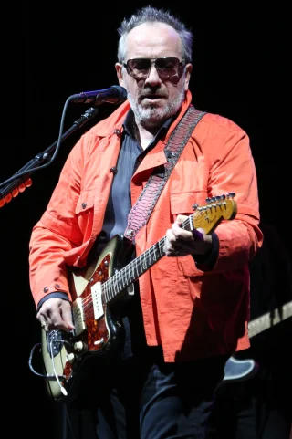 Elvis Costello height profile photo