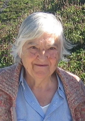 Etel Adnan height profile photo
