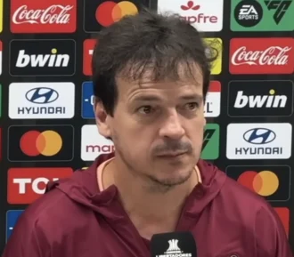 Fernando Diniz height profile photo