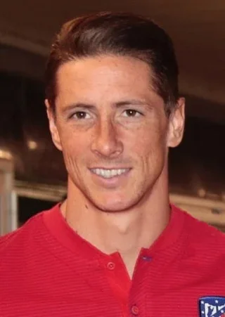 Fernando Torres height profile photo