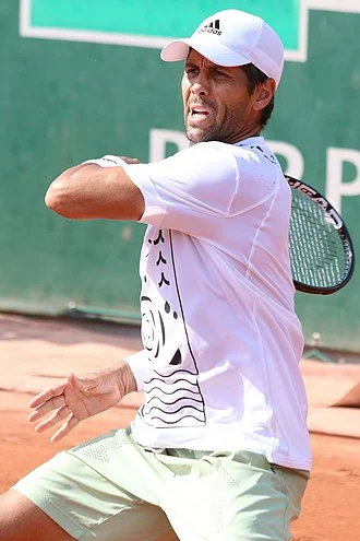Fernando Verdasco height profile photo