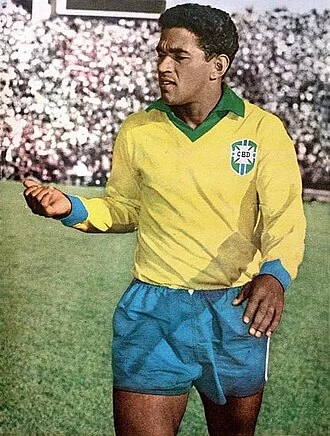 Garrincha height profile photo