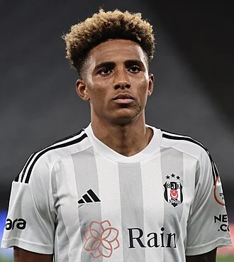 Gedson Fernandes height profile photo
