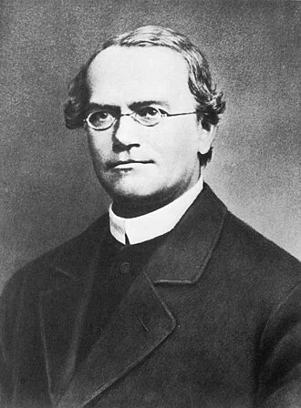 Gregor Mendel height profile photo