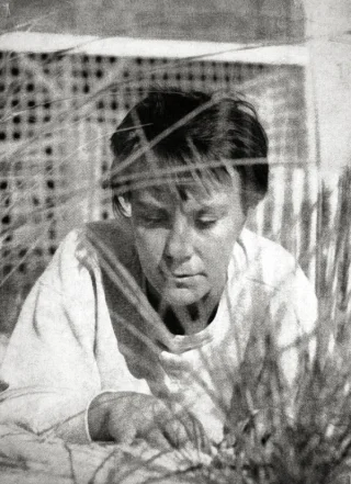 Harper Lee height profile photo