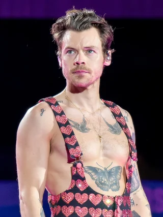 Harry Styles height profile photo