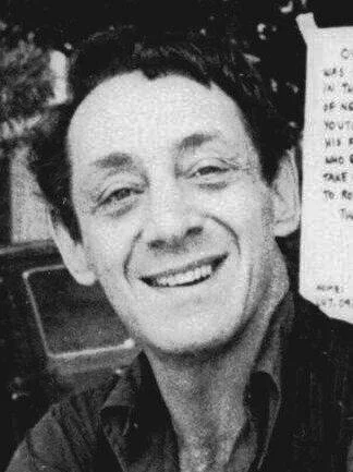 Harvey Milk height profile photo