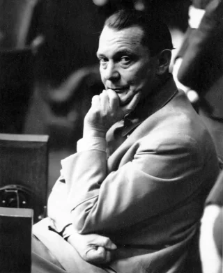Hermann Göring height profile photo