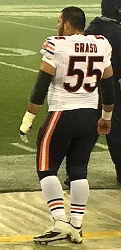 Hroniss Grasu height profile photo