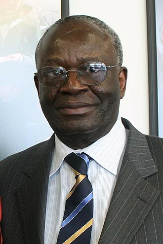 Ibrahim Gambari height profile photo