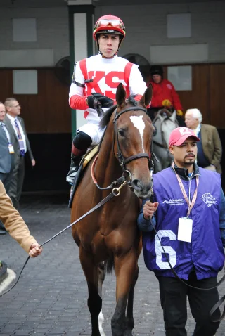 Irad Ortiz Jr. height profile photo