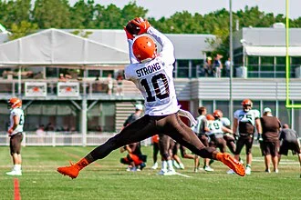 Jaelen Strong height profile photo