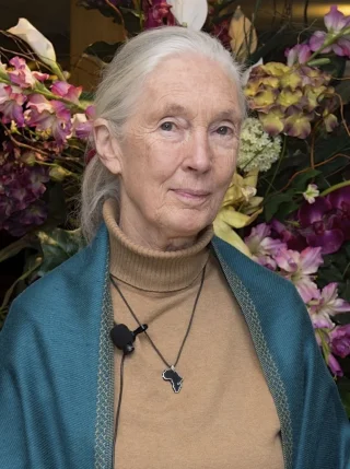 Jane Goodall height profile photo
