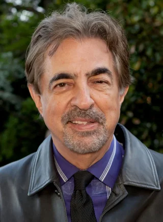 Joe Mantegna height profile photo