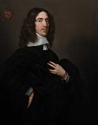 Johan de Witt height profile photo