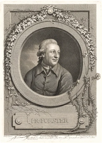 Johann Reinhold Forster height profile photo